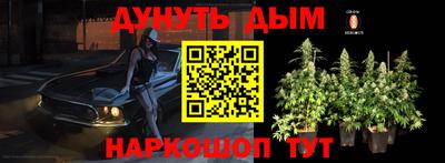 МДПВ Заводоуковск