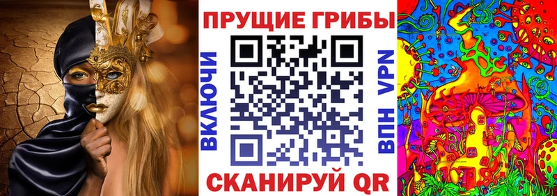 Галлюциногенные грибы прущие грибы  Крымск 
