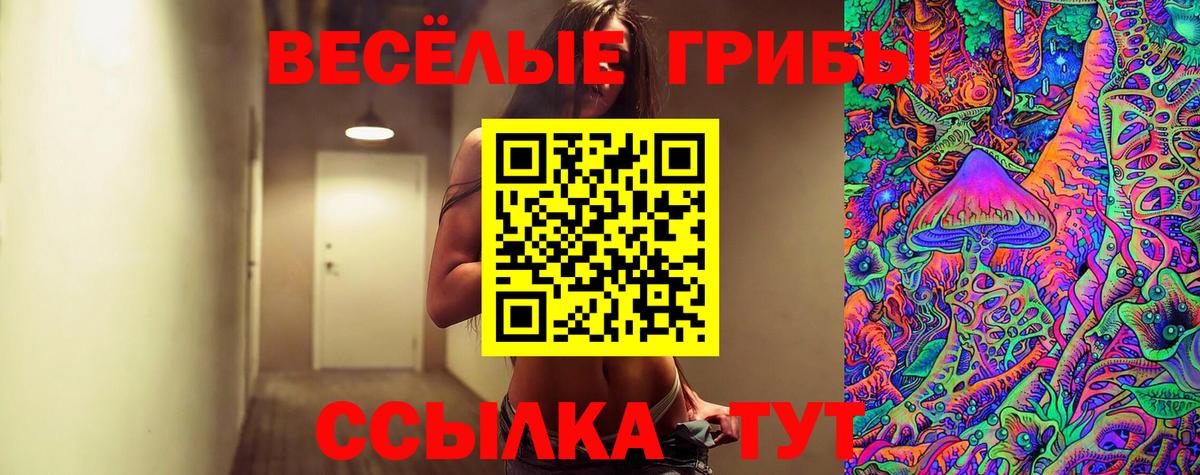 Псилоцибиновые грибы Psilocybe  Крымск 