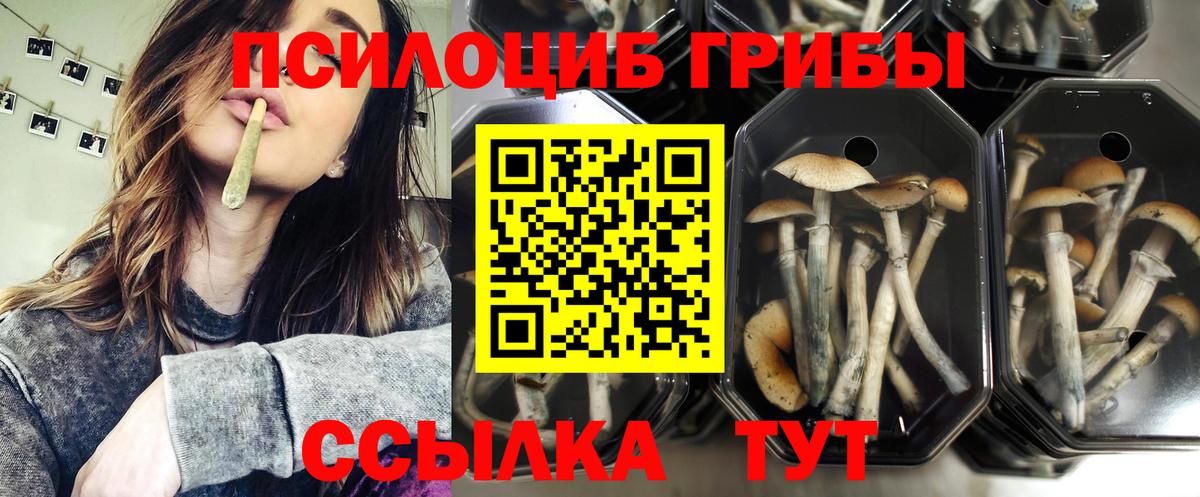 Псилоцибиновые грибы GOLDEN TEACHER  Вход с VPN  Крымск 