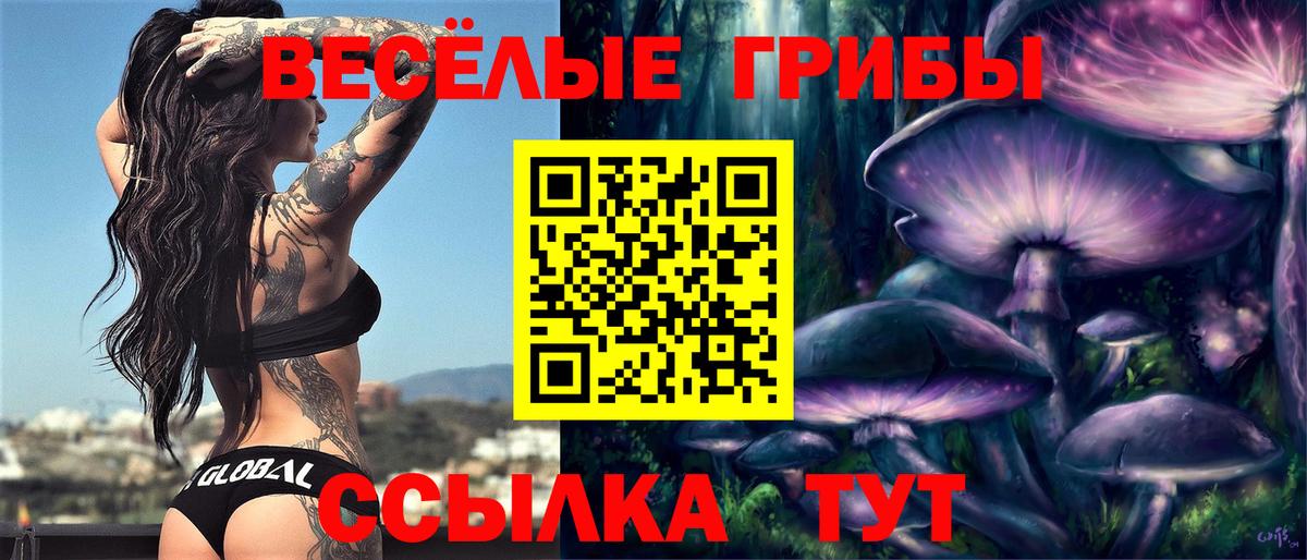 Псилоцибиновые грибы ЛСД Крымск